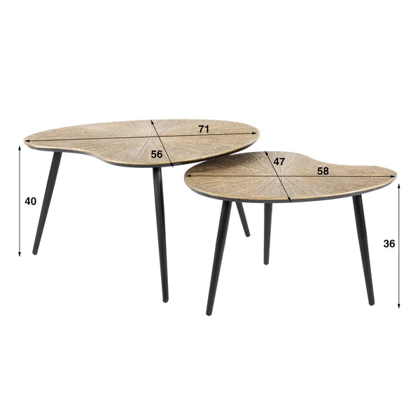 Salontafel Elvora - Organisch - Goud - Set van 2 (Internet Retour)